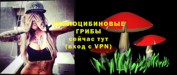 спиды Вязники