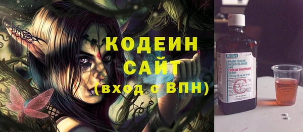 амф Вяземский